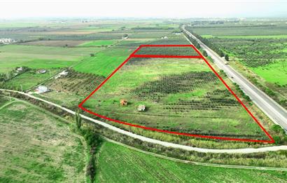 Dikili Salihler Çanakkale Yolu üstü mükemmel konumda tarla