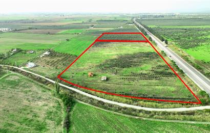 Dikili Salihler Çanakkale Yolu üstü mükemmel konumda tarla