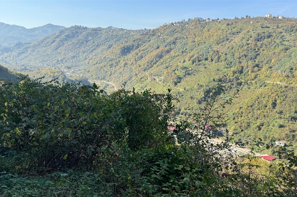 TRABZON YOMRA ÇINARLI MAHLESİN'DE 2,111M2 SATILIK TARLA