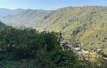 TRABZON YOMRA ÇINARLI MAHLESİN'DE 2,111M2 SATILIK TARLA