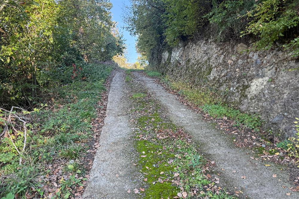 TRABZON YOMRA ÇINARLI MAHLESİN'DE 2,111M2 SATILIK TARLA