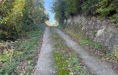 TRABZON YOMRA ÇINARLI MAHLESİN'DE 2,111M2 SATILIK TARLA