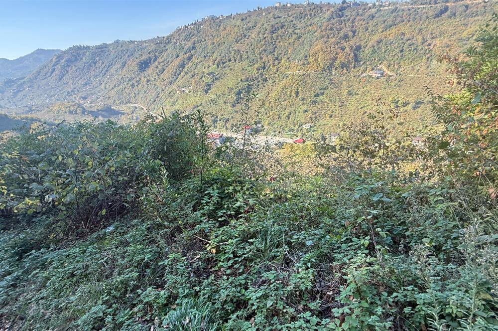 TRABZON YOMRA ÇINARLI MAHLESİN'DE 2,111M2 SATILIK TARLA