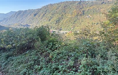 TRABZON YOMRA ÇINARLI MAHLESİN'DE 2,111M2 SATILIK TARLA