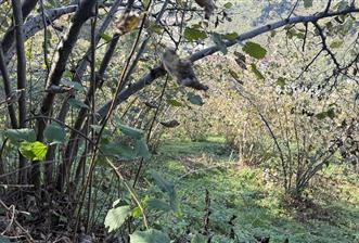 TRABZON YOMRA ÇINARLI MAHLESİN'DE 2,111M2 SATILIK TARLA - 1 - 30118