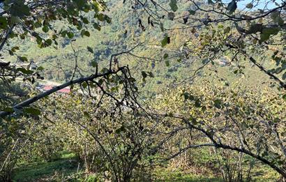 TRABZON YOMRA ÇINARLI MAHLESİN'DE 2,111M2 SATILIK TARLA