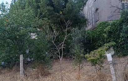 C21 LOCA'DAN 2.SAKARYA MAH. 3 DAİRELİK ARSA 