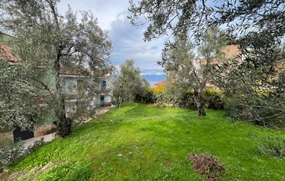 C21 BAL'DAN PELİTKÖY SAHİLİ'NDE DENİZ MANZARALI SATILIK TRİPLEKS