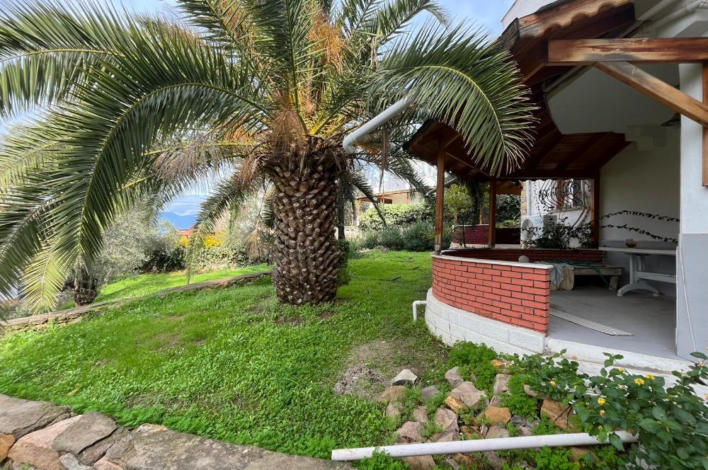 C21 BAL'DAN PELİTKÖY SAHİLİ'NDE DENİZ MANZARALI SATILIK TRİPLEKS