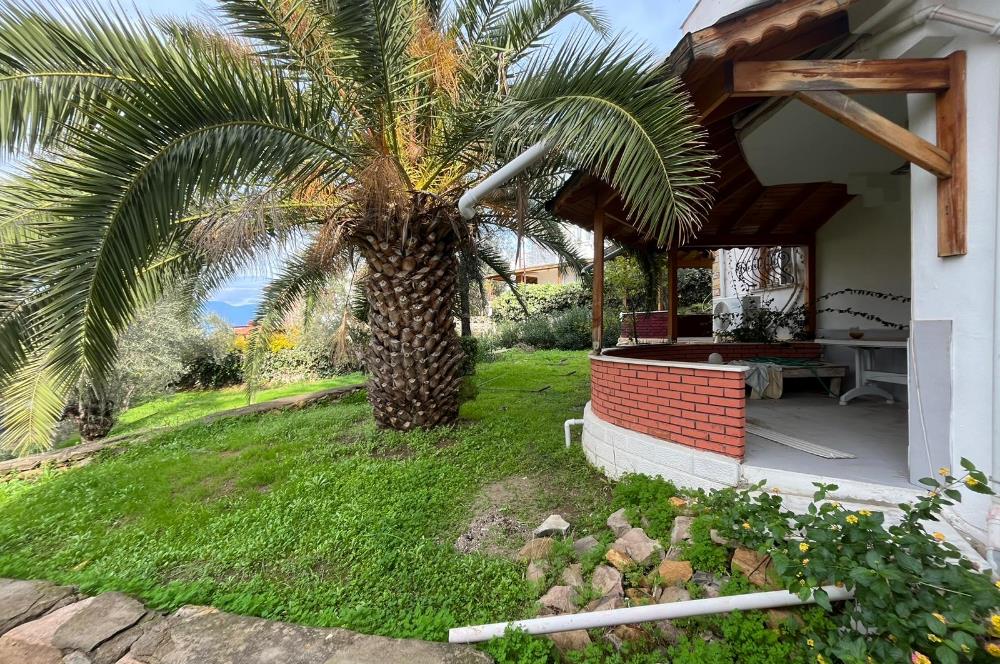 C21 BAL'DAN PELİTKÖY SAHİLİ'NDE DENİZ MANZARALI SATILIK TRİPLEKS