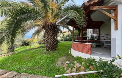 C21 BAL'DAN PELİTKÖY SAHİLİ'NDE DENİZ MANZARALI SATILIK TRİPLEKS