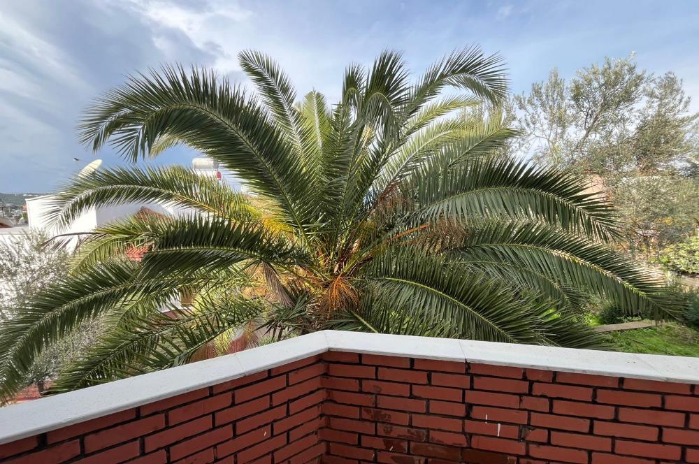 C21 BAL'DAN PELİTKÖY SAHİLİ'NDE DENİZ MANZARALI SATILIK TRİPLEKS