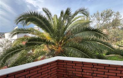 C21 BAL'DAN PELİTKÖY SAHİLİ'NDE DENİZ MANZARALI SATILIK TRİPLEKS