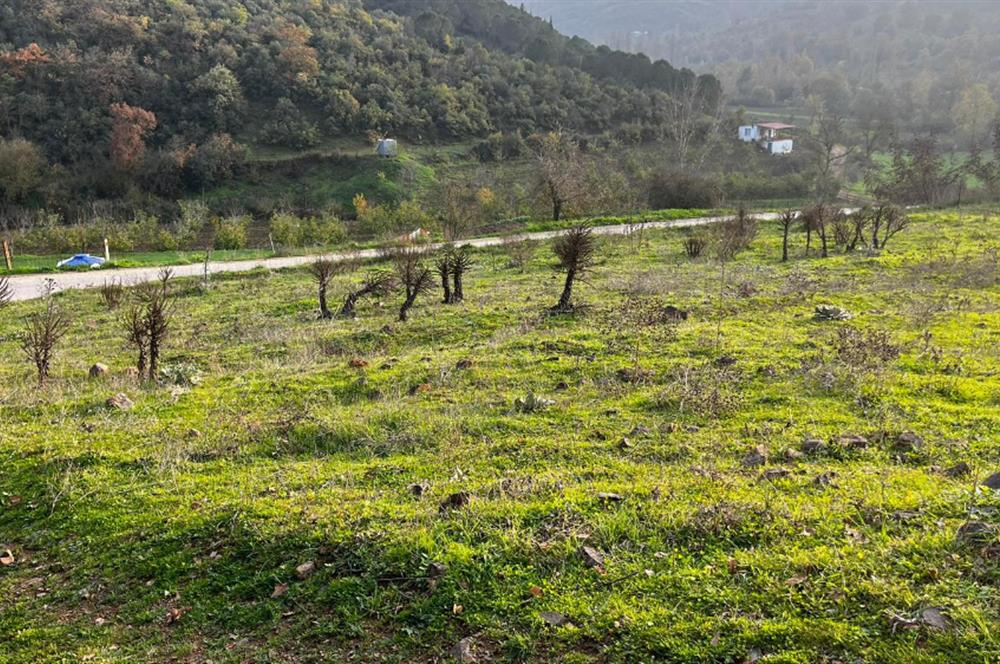 C21 BAL'DAN AKÇAKÖY'DE //ASFALTA CEPHE// 2700 M² SATILIK TARLA