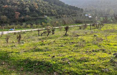 C21 BAL'DAN AKÇAKÖY'DE //ASFALTA CEPHE// 2700 M² SATILIK TARLA