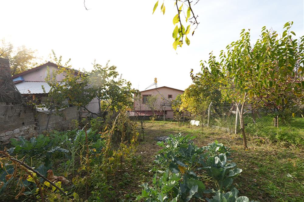 C21 Cius; Adliye Köyünde 471 m2 İmarlı Satılık Arsa