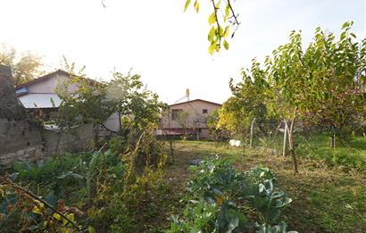 C21 Cius; Adliye Köyünde 471 m2 İmarlı Satılık Arsa