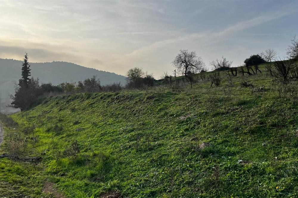 C21 BAL'DAN AKÇAKÖY'DE //ASFALTA CEPHE// 2700 M² SATILIK TARLA