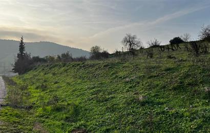 C21 BAL'DAN AKÇAKÖY'DE //ASFALTA CEPHE// 2700 M² SATILIK TARLA