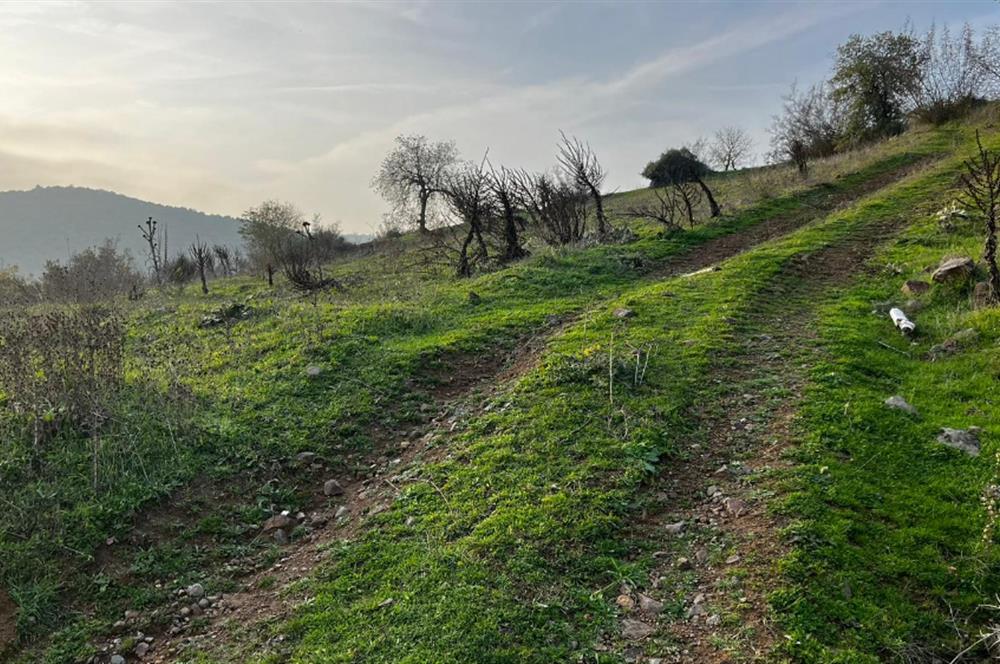 C21 BAL'DAN AKÇAKÖY'DE //ASFALTA CEPHE// 2700 M² SATILIK TARLA