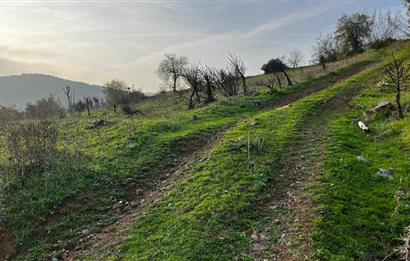 C21 BAL'DAN AKÇAKÖY'DE //ASFALTA CEPHE// 2700 M² SATILIK TARLA