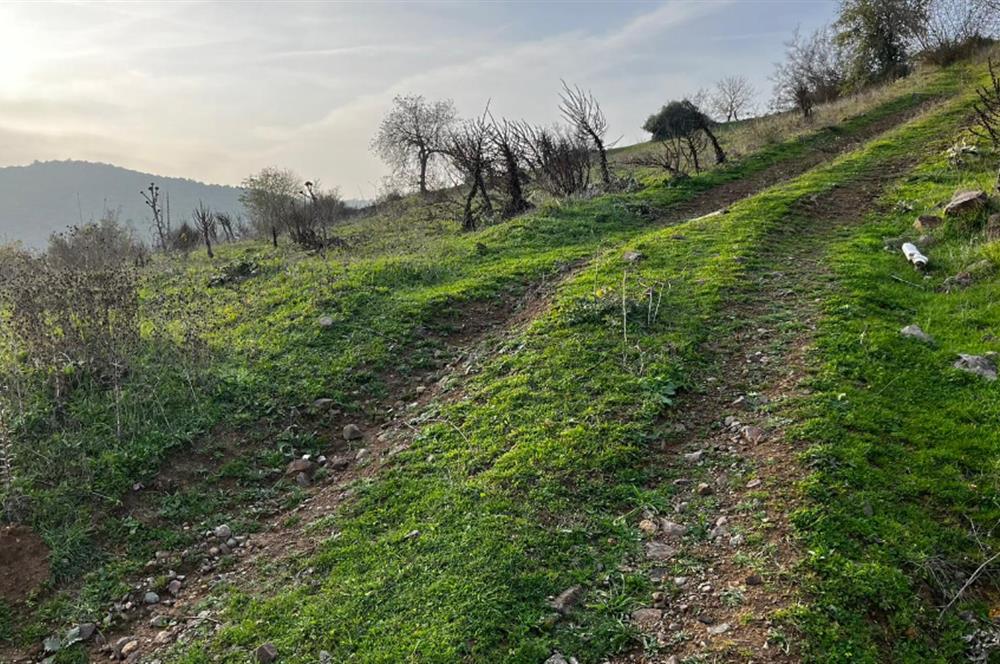 C21 BAL'DAN AKÇAKÖY'DE //ASFALTA CEPHE// 2700 M² SATILIK TARLA