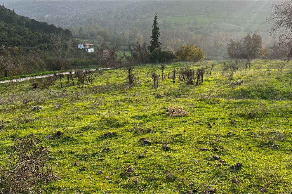 C21 BAL'DAN AKÇAKÖY'DE //ASFALTA CEPHE// 2700 M² SATILIK TARLA