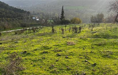 C21 BAL'DAN AKÇAKÖY'DE //ASFALTA CEPHE// 2700 M² SATILIK TARLA
