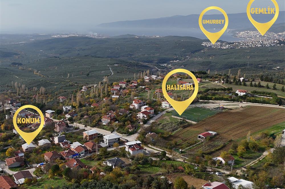 C21 Cius; Adliye Köyünde 471 m2 İmarlı Satılık Arsa