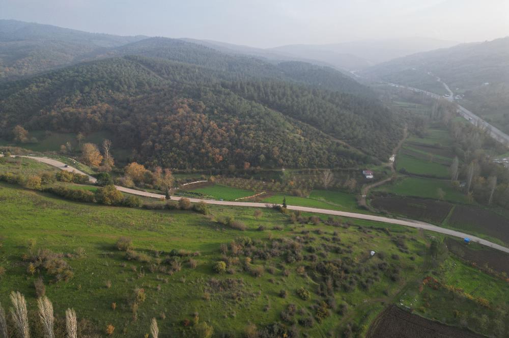 C21 BAL'DAN AKÇAKÖY'DE //ASFALTA CEPHE// 2700 M² SATILIK TARLA