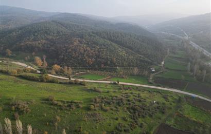 C21 BAL'DAN AKÇAKÖY'DE //ASFALTA CEPHE// 2700 M² SATILIK TARLA