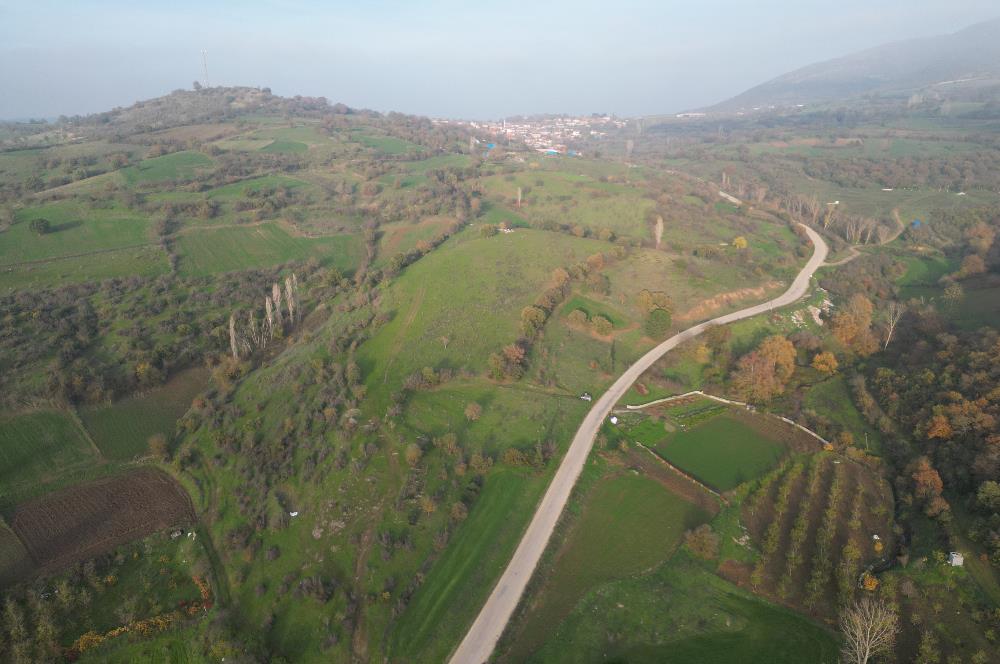 C21 BAL'DAN AKÇAKÖY'DE //ASFALTA CEPHE// 2700 M² SATILIK TARLA