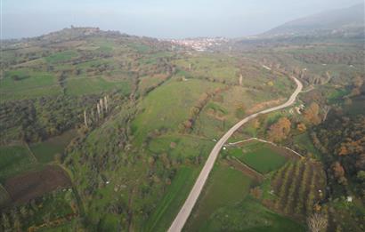 C21 BAL'DAN AKÇAKÖY'DE //ASFALTA CEPHE// 2700 M² SATILIK TARLA