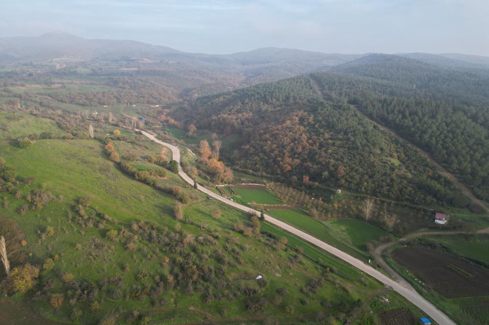 C21 BAL'DAN AKÇAKÖY'DE //ASFALTA CEPHE// 2700 M² SATILIK TARLA