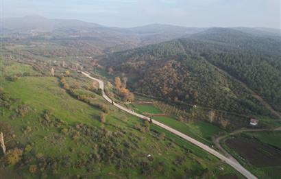 C21 BAL'DAN AKÇAKÖY'DE //ASFALTA CEPHE// 2700 M² SATILIK TARLA