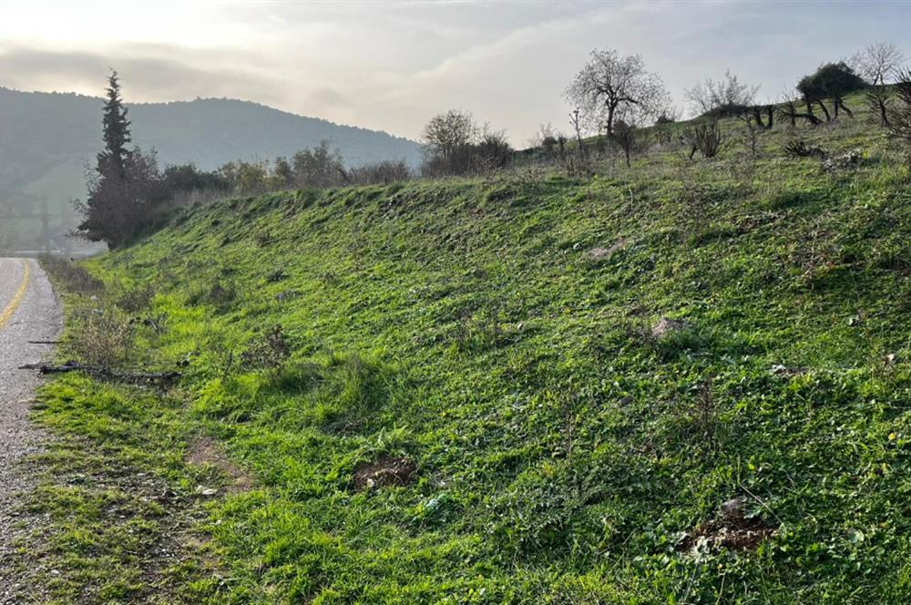 C21 BAL'DAN AKÇAKÖY'DE //ASFALTA CEPHE// 2700 M² SATILIK TARLA