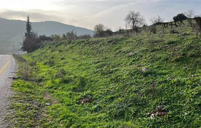 C21 BAL'DAN AKÇAKÖY'DE //ASFALTA CEPHE// 2700 M² SATILIK TARLA
