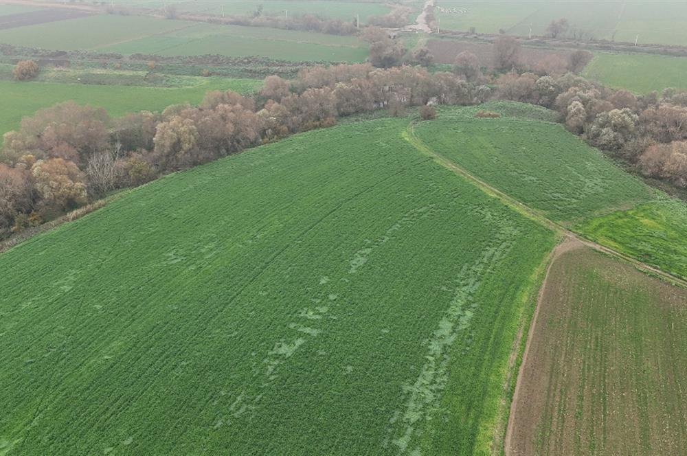 C21 WİNNER OVAKÖY 3.300m² SATILIK TARLA