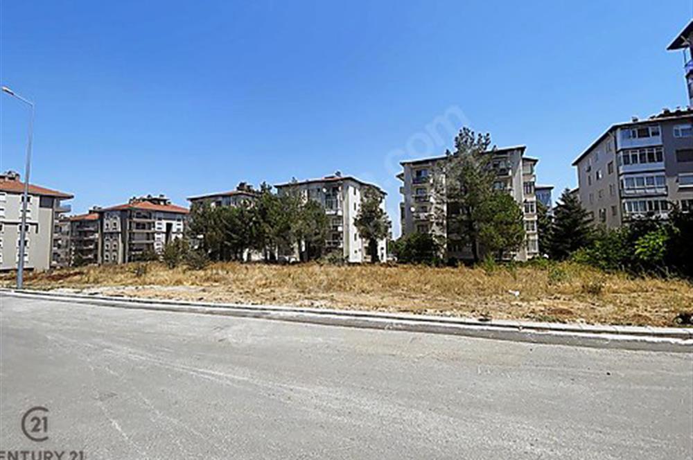 Çamlık Bölgesinin En Gözde Orman Manzaralı Arsası SATILIKTIR