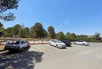 Çamlık Bölgesinin En Gözde Orman Manzaralı Arsası SATILIKTIR - 1 - 30161