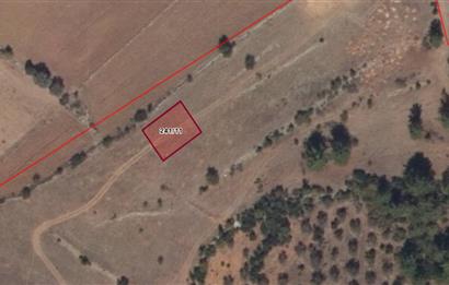 Muğla Yatağan'da Fırsat Arsa