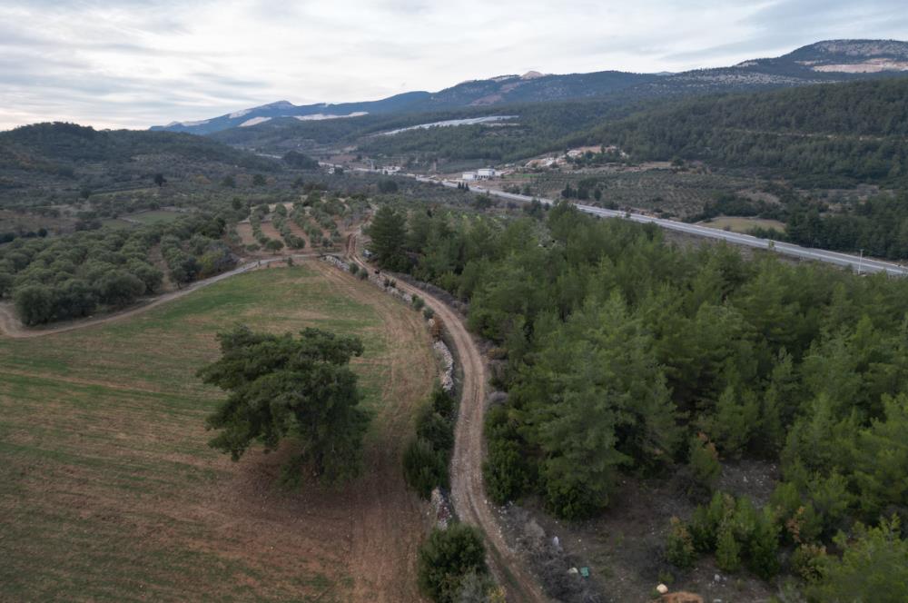 Muğla Yatağan'da Fırsat Arsa