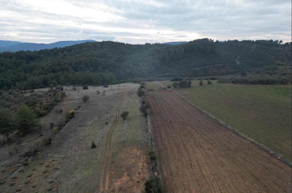 Muğla Yatağan'da Fırsat Arsa