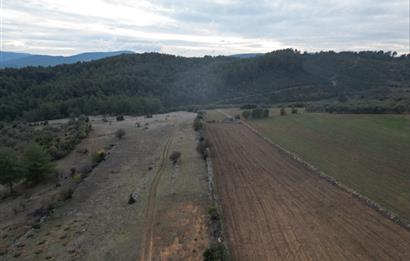 Muğla Yatağan'da Fırsat Arsa