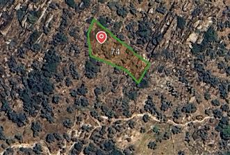 MUĞLA MİLASTA SATILIK ZEYTİNLİK - 2 - 30204