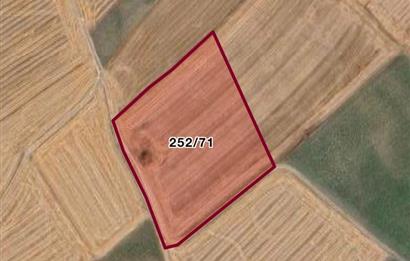 ERGENE VAKIFLAR MAHALLESİ SATILIK TARLA