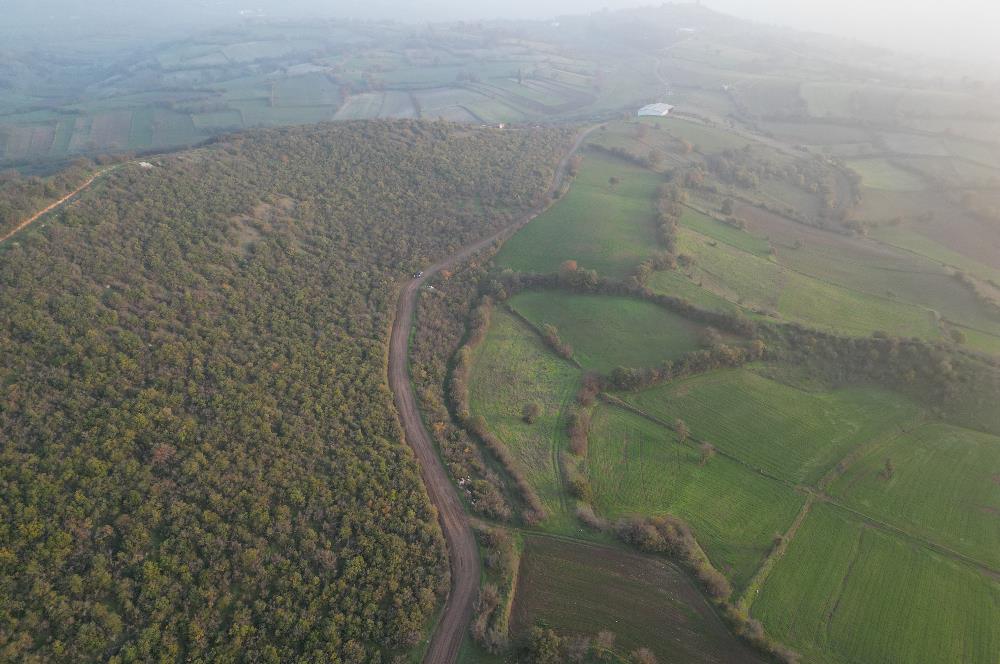 C21 BAL'DAN AKÇAKÖYDE//3750M2// YOLU AÇIK// SATILIK TARLA