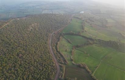 C21 BAL'DAN AKÇAKÖYDE//3750M2// YOLU AÇIK// SATILIK TARLA