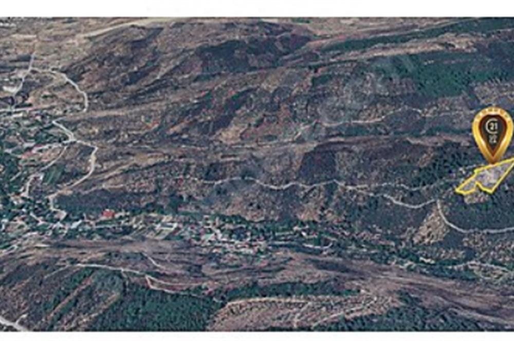 ACİL SATILIK C21 LOCA'DAN 7624 M2 SATILIK ZEYTİNLİK