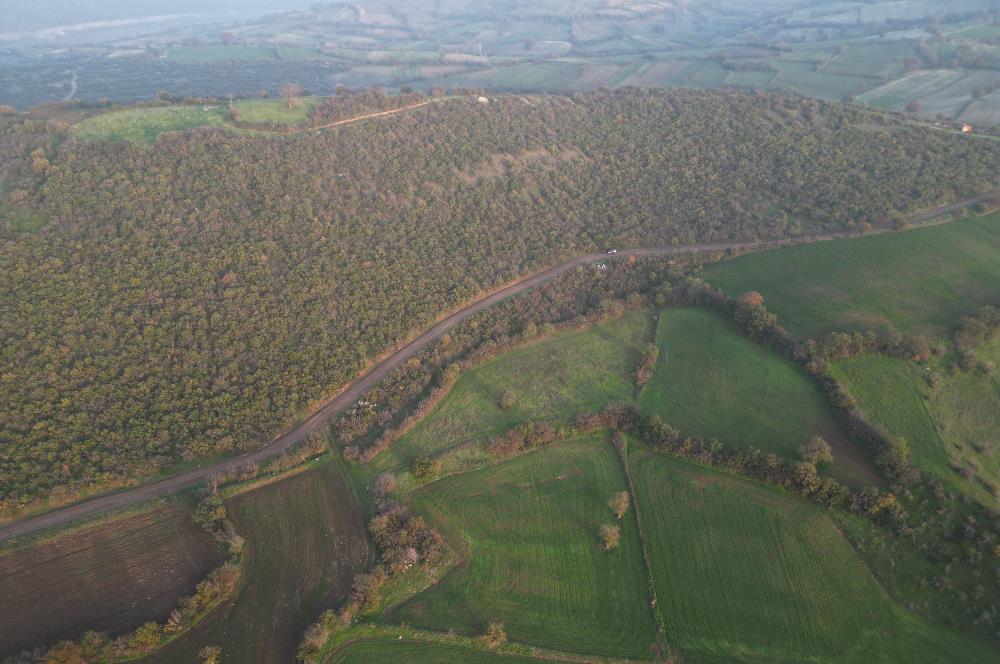 C21 BAL'DAN AKÇAKÖYDE//3750M2// YOLU AÇIK// SATILIK TARLA